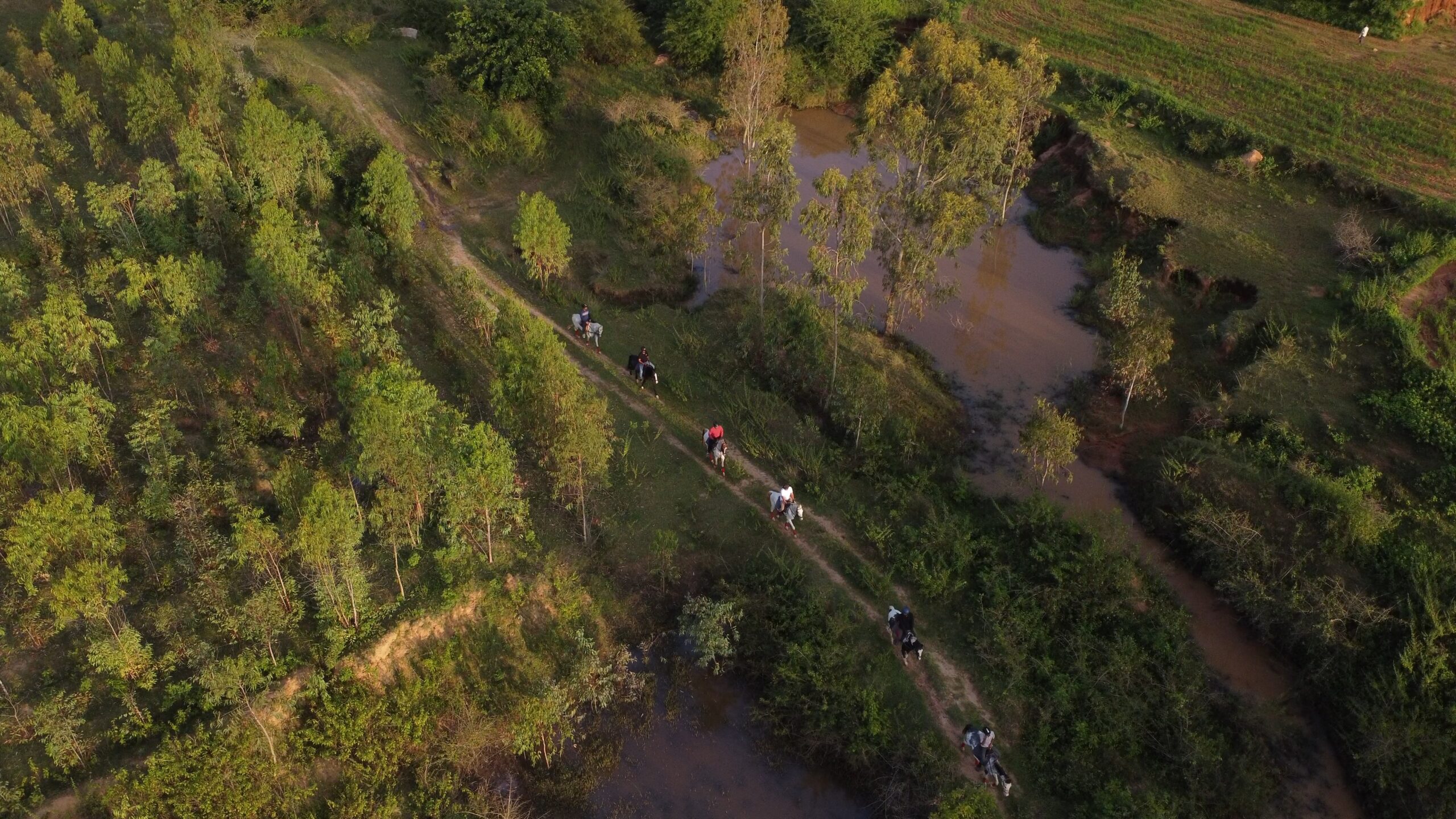 Satya Anantham Eco Retreat - Nandhi Hills