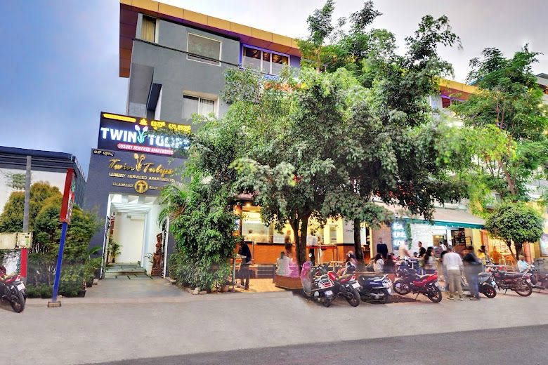 Twin Tulip Mystic Premier